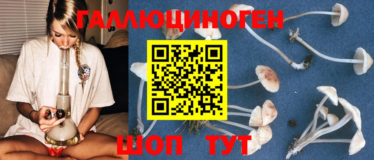Гусев  Псилоцибиновые грибы мухоморы  Вход с VPN 